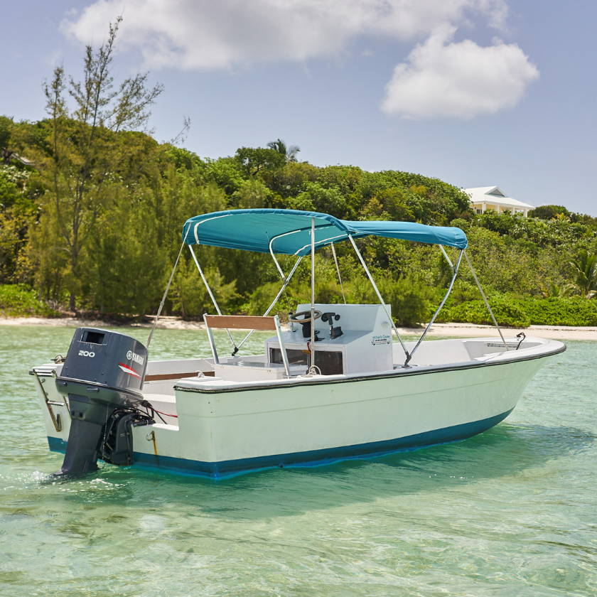 harbor island sailboat rentals
