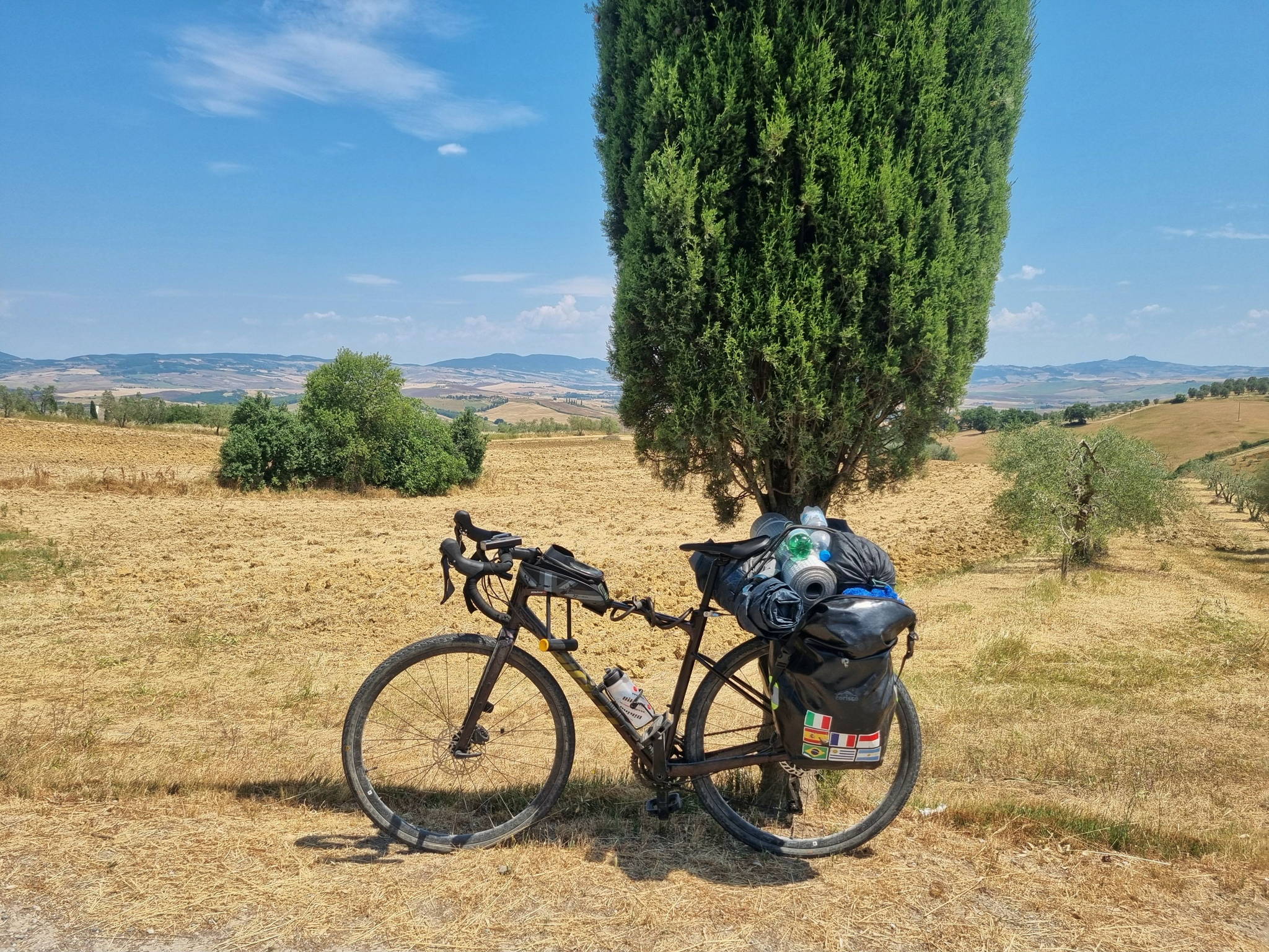 mountain bike elettrica