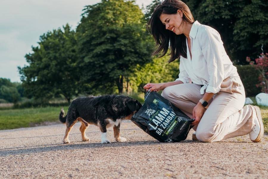 Hundebedarf Tales & Tails