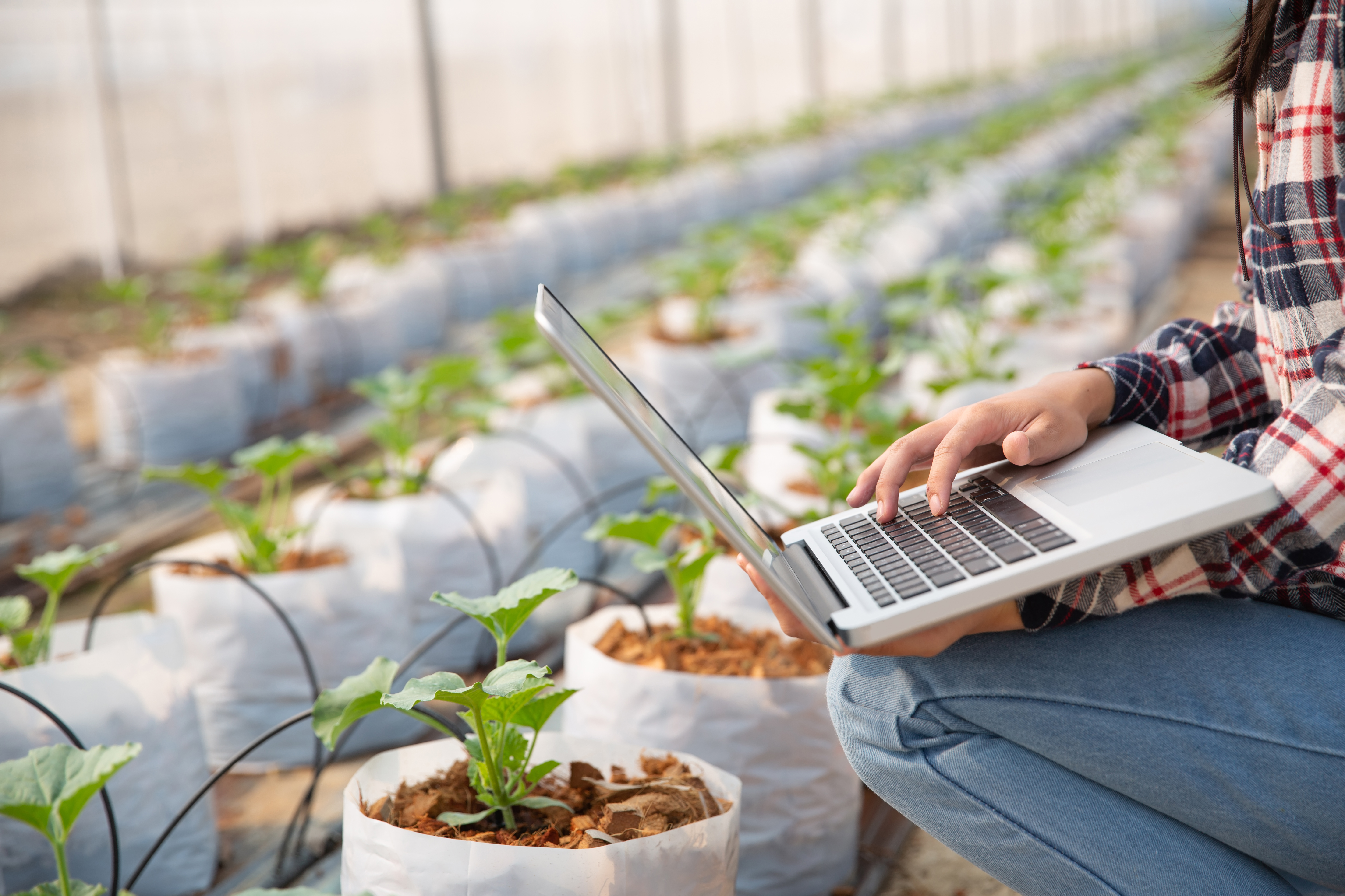 A greenhouse worker surrounded by plants holding a computer