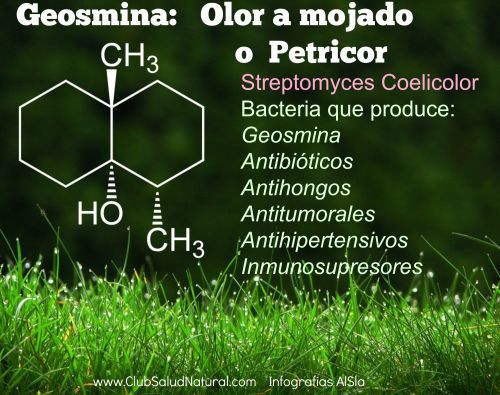 Ciencia mata mitos