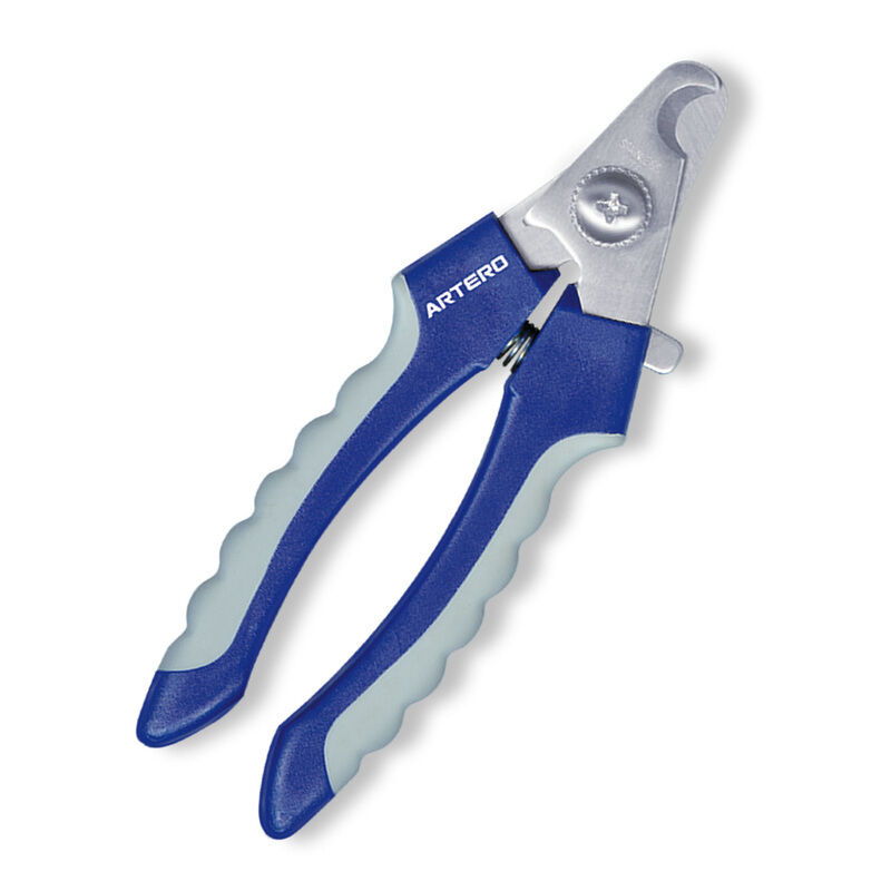 Dog Essentials - Image 4