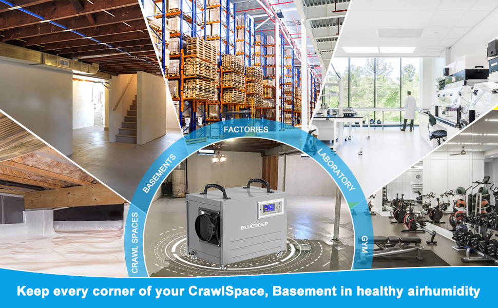 commercial dehumidifier for basement, craw space, factory,gym-blvedeep