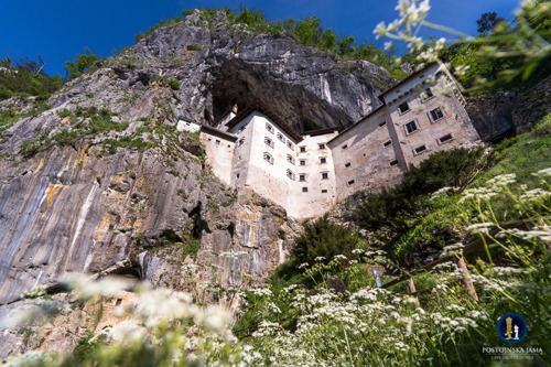 Постойнская пещера, Предъямский замок, авто-пешеходная экскурсия