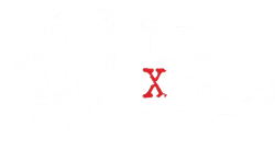 Logo - Dosa Xpress