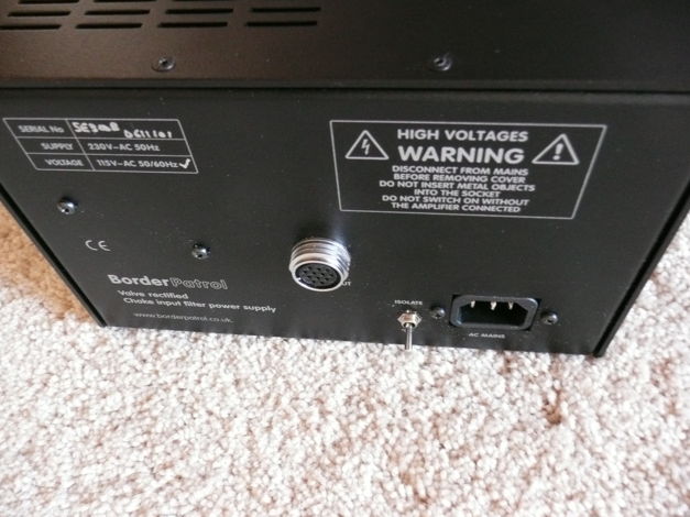 Border Partrol SE300B SET Amplifier
