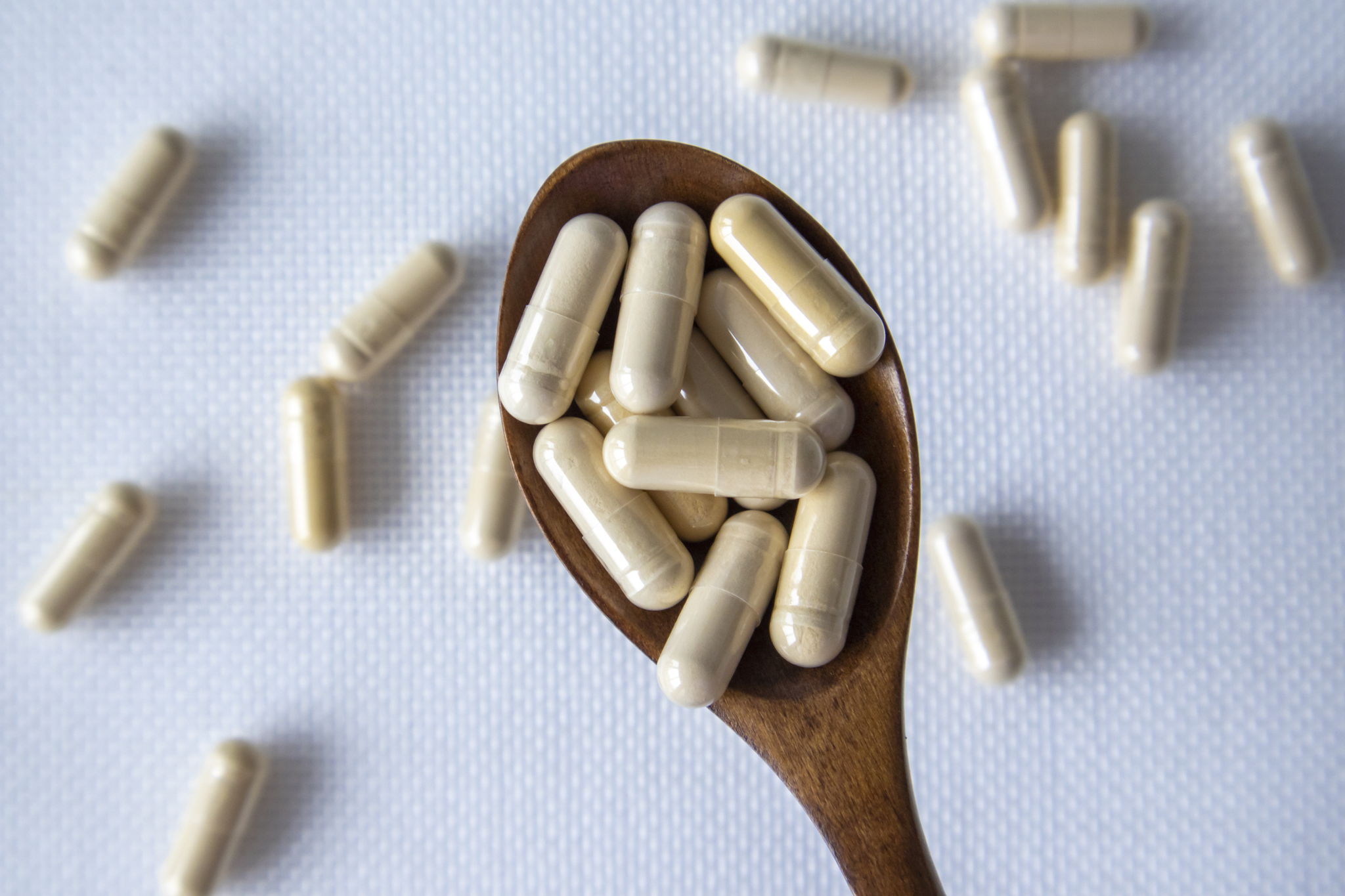 What Are Probiotics? Your Guide to Healthy Gut Bacteria -