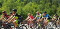 Groupe de cyclistes sur vélos de route