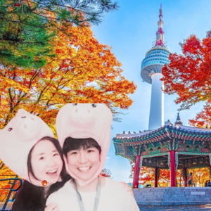Our Honeymoon Travel for KOREA!