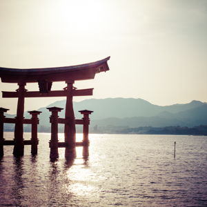 Japan Honeymoon Fund