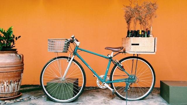 vélo et bouteilles de vin
