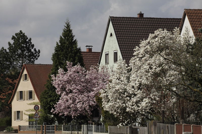 Impressionen Hanauerland