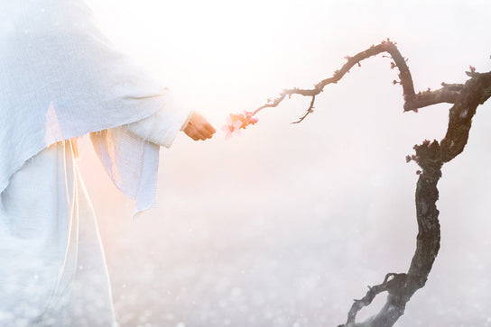 Jesus touching the end of a dead branch. Pink blossoms bloom at His touch. 