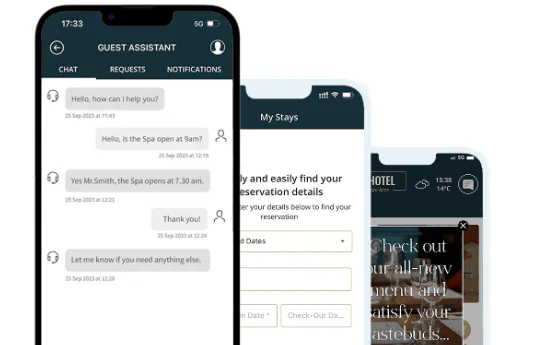 Screenshot image