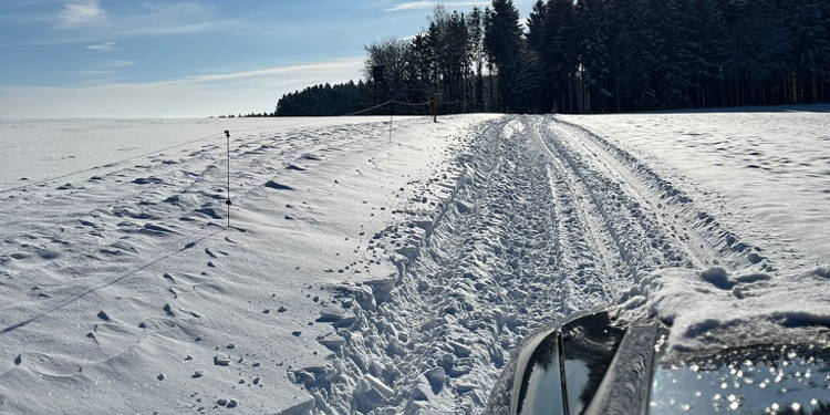 Neujahrsauftakt im Schnee!