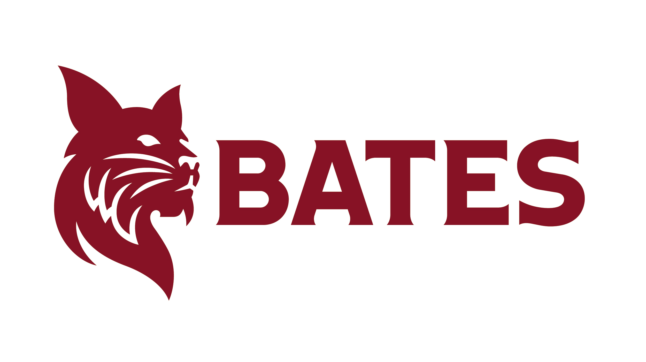 Bates bobcat primary31