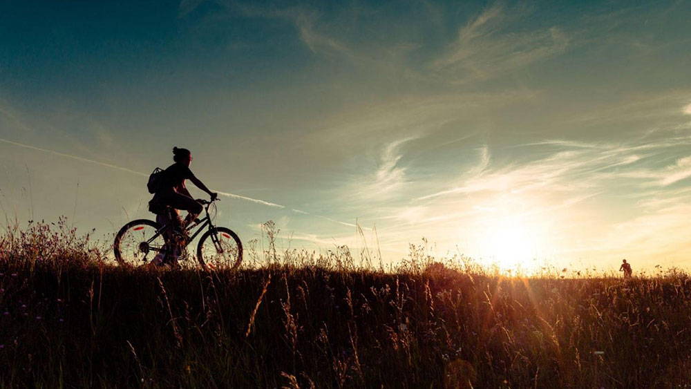Understanding the Core Difference: Power vs. Torque in E-Bikes