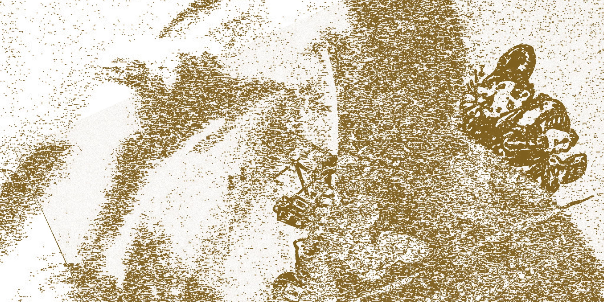 list image