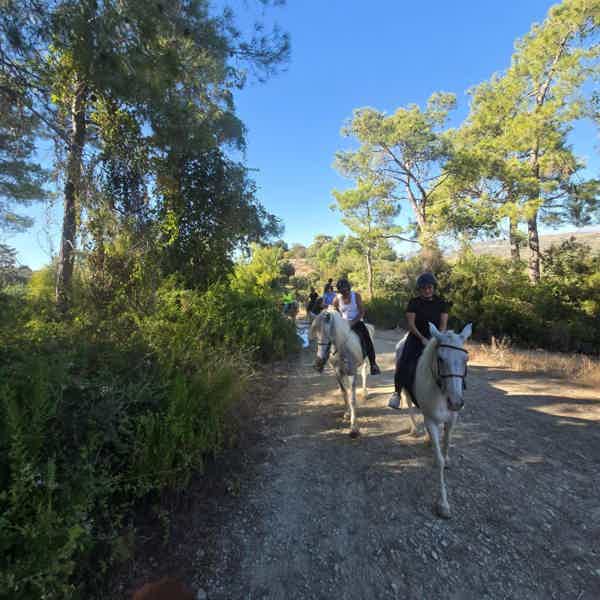 Horse Safari and Family Activity Park Entry in Side - photo 1