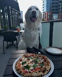 Discover Calgary’s best restaurants, Calgary's best bars, Calgary's best pubs for food, drinks, happy hours, daily specials, patios, food trucks, & more. •        best restaurants in Calgary
•        restaurants near me in Calgary
•        bars in Calgary
•        Calgary patios near me
•        best patios Calgary
•        Calgary food trucks near me
•        live music Calgary nightlife
•        where to eat in Beltline Calgary
•        Calgary happy hour deals
•        cozy restaurants Calgary
•        quiet restaurants Calgary
•        loud bars in Calgary
•        best brunch Calgary
•        date night restaurants Calgary
•        group hang spots Calgary
•        casual Calgary dining spots
•        best burgers in Calgary
•        Calgary Vietnamese restaurants
•        Calgary comfort food spots
•        food trucks Calgary downtown
•        restaurants for business dinners in Calgary
•        what to eat in Calgary
•        top hidden gem Calgary restaurants
•        Calgary restaurant filters by vibe
•        how to choose Calgary restaurant by vibe
