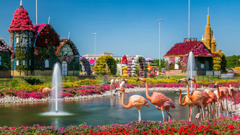 Билеты в парк цветов Miracle Garden и ярмарку Global Village с трансфером