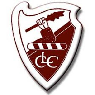 Lydney Cricket Club Cricket Club Logo