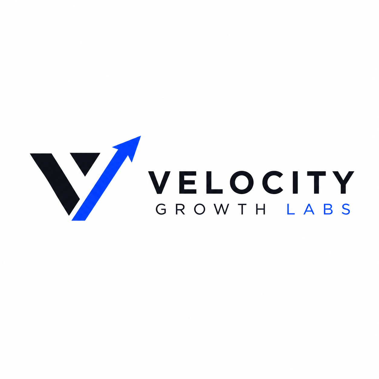 Velocity Growth Labs logo