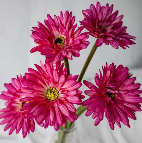 Fuchsia Real Touch Gerbera - Realistic Artificial Flowers - Image 4
