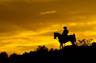 Wild West Horseback Adventures Uploaded on 2022-01-16