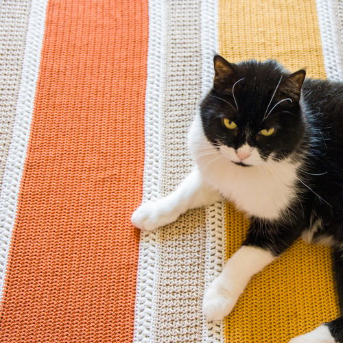 Hopes And Wishes Blanket