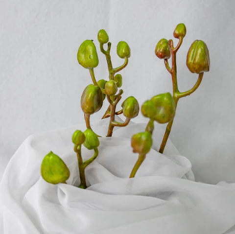 Phalaenopsis Bud ( 6 Pack ) - Realistic Artificial Flowers - Image 3
