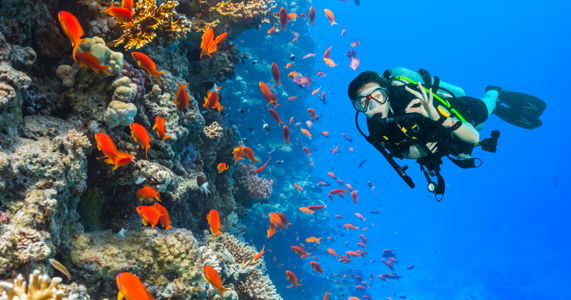 scuba-diving-in-egypt