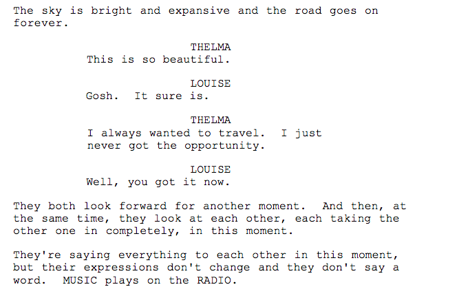 A section of the script where thelma and louise exchange meaningful looks that talks of their relationship.
