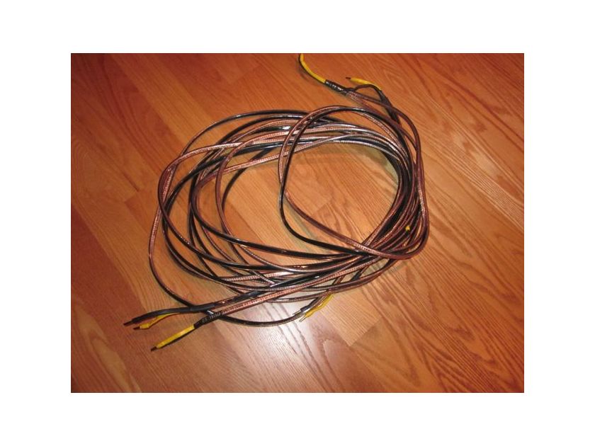 Analysis Plus Oval 12 14 ft. bi-wire speaker cables