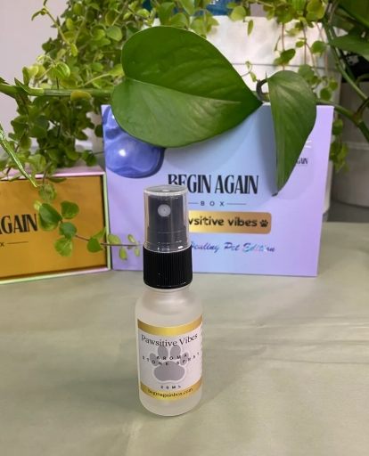 Pawsitive Vibes Crystal Healing Pet Edition - Image 3