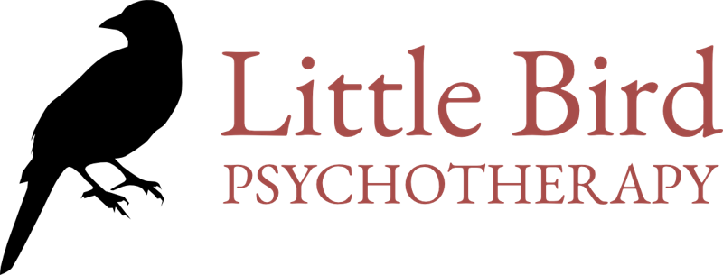 Little Bird Psychotherapy