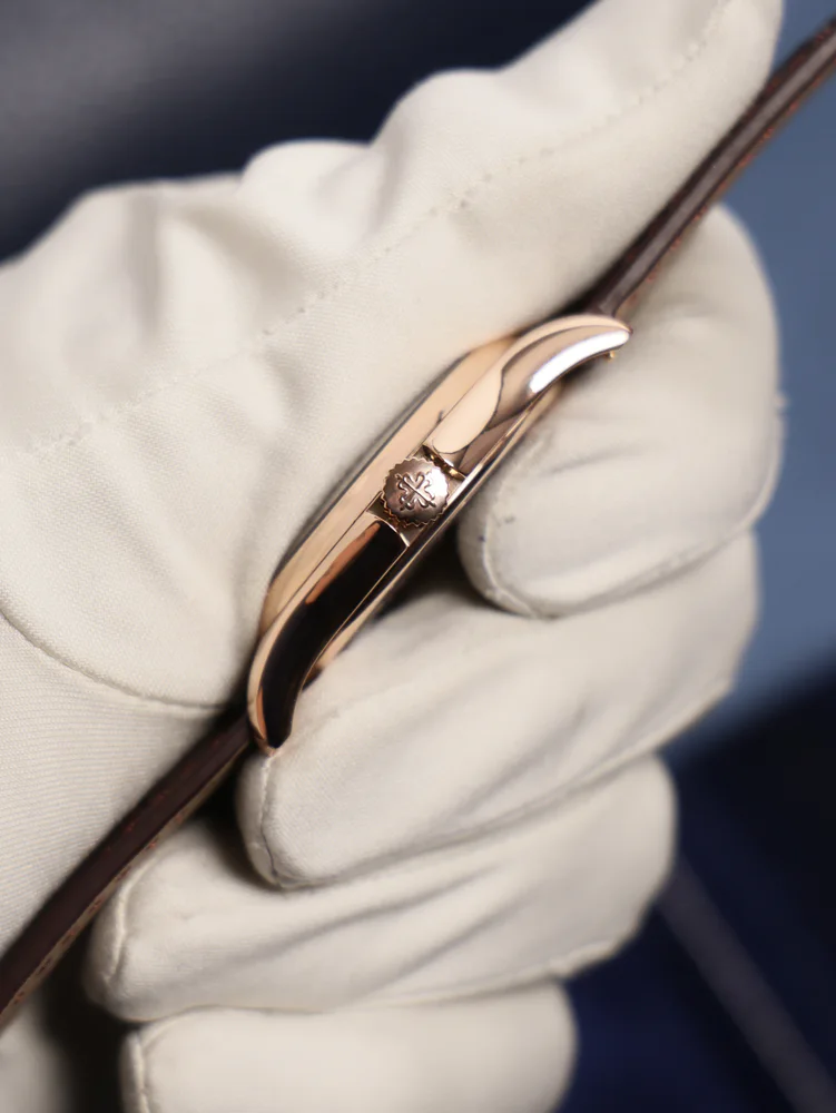 Patek Philippe World Time, image 3