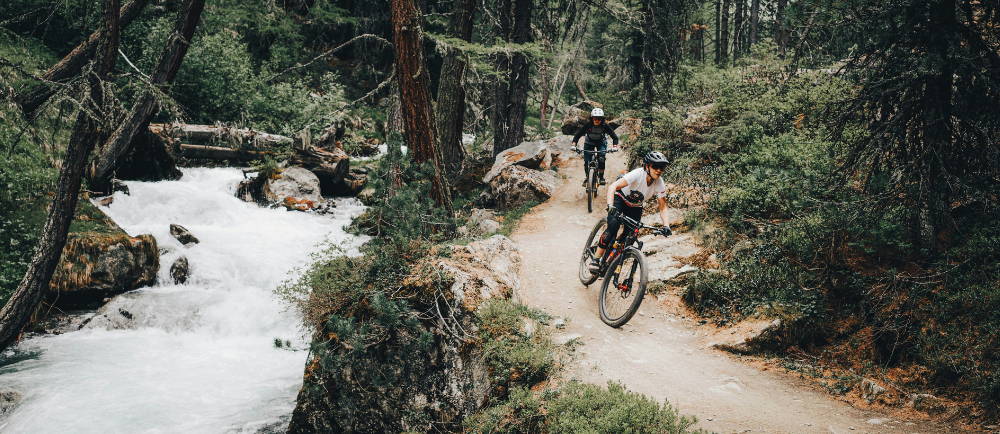 two mountain bikers riding in the forest by a river