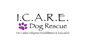 ICARE Dog Rescue logo