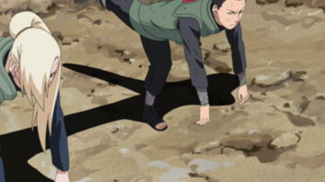 Main Content Image