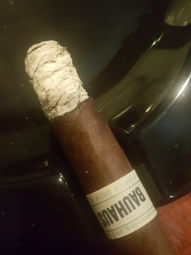 Cigar Session Photo