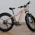 Woman on electric bike
