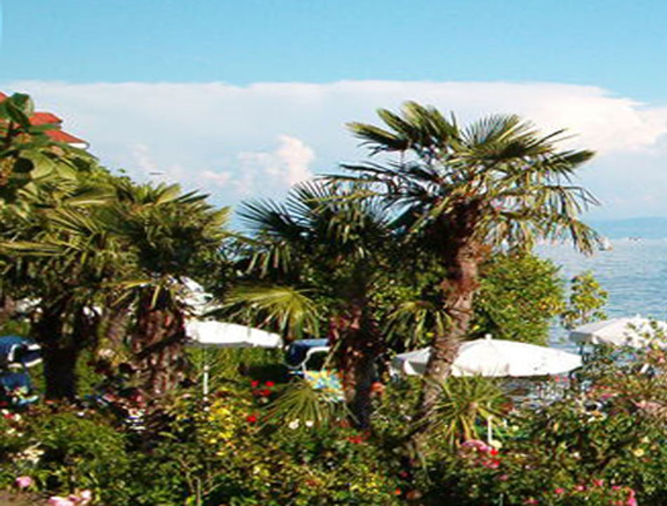 Immobilien Am Bodensee Ihr Immobilienmakler Engel Volkers