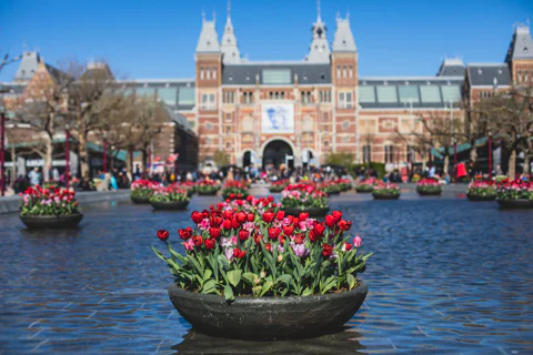 Amsterdam Morning or Afternoon Small-Group Walking Tour