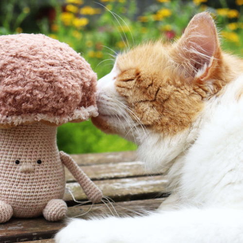 PILI | crochet Mushroom