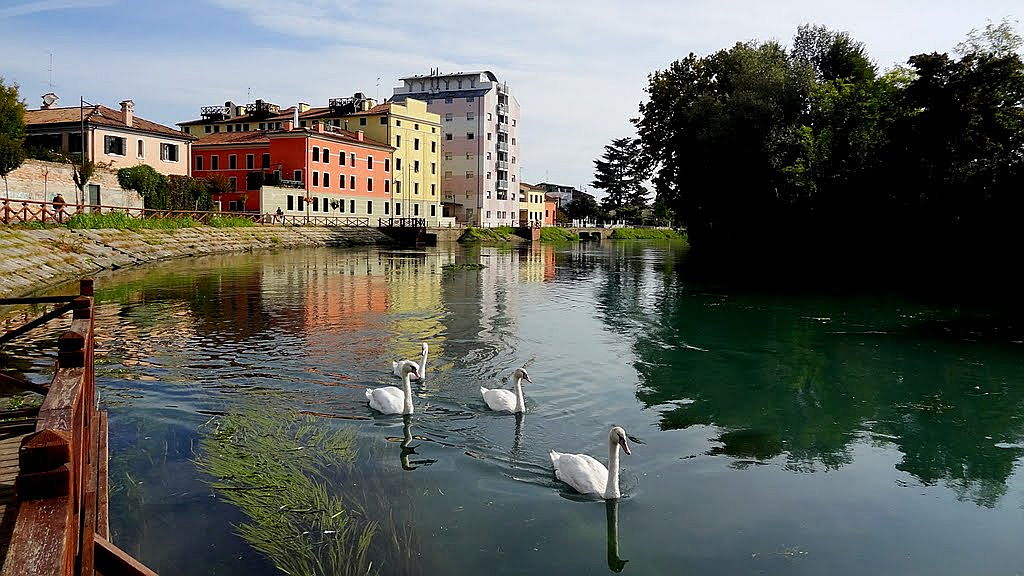  Treviso
- restera.jpg