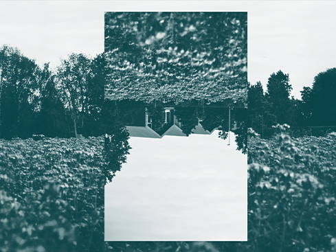 Davines Group Sustainability Report 21-22