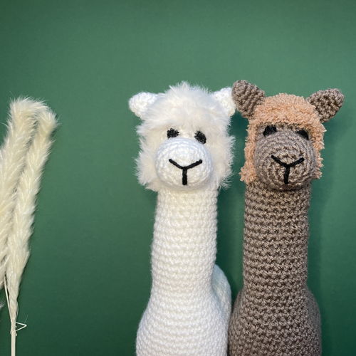 Alpaca
