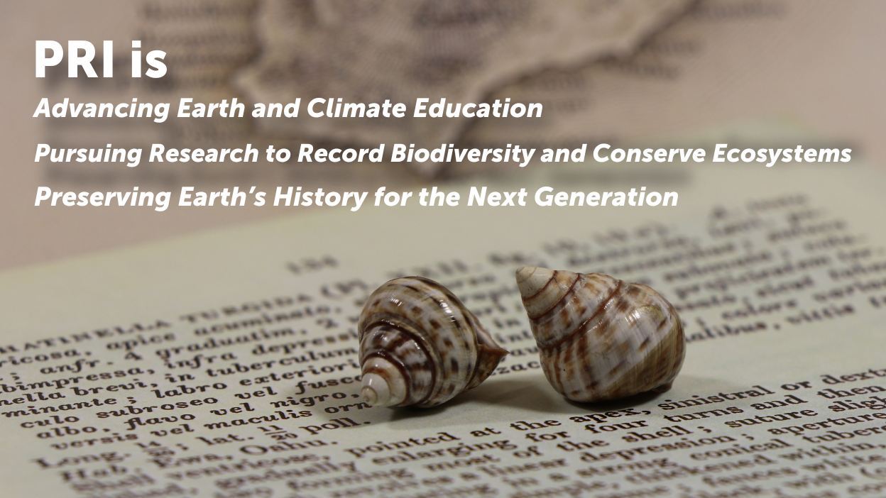Advancing Earth Science and a Sustainable Future