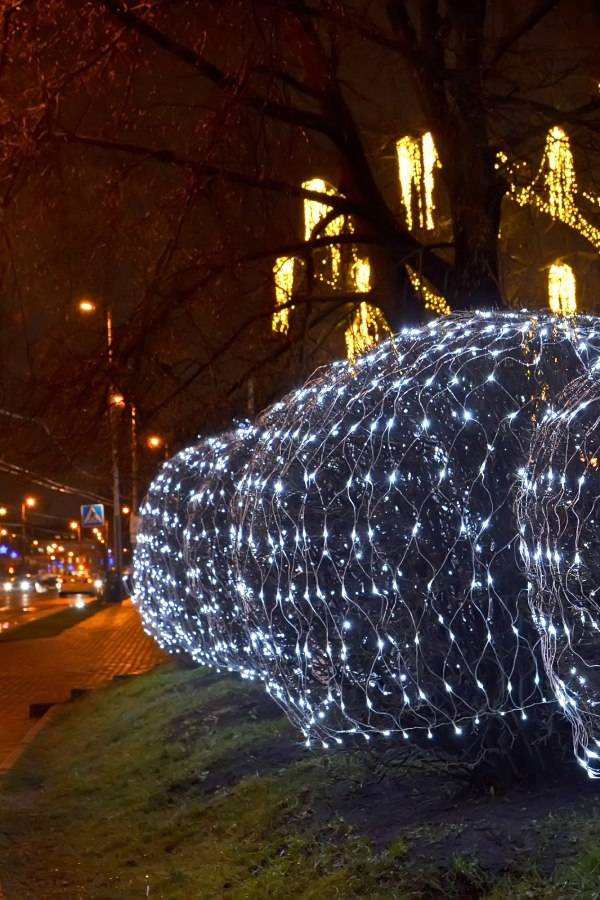 Ollny net lights on sale